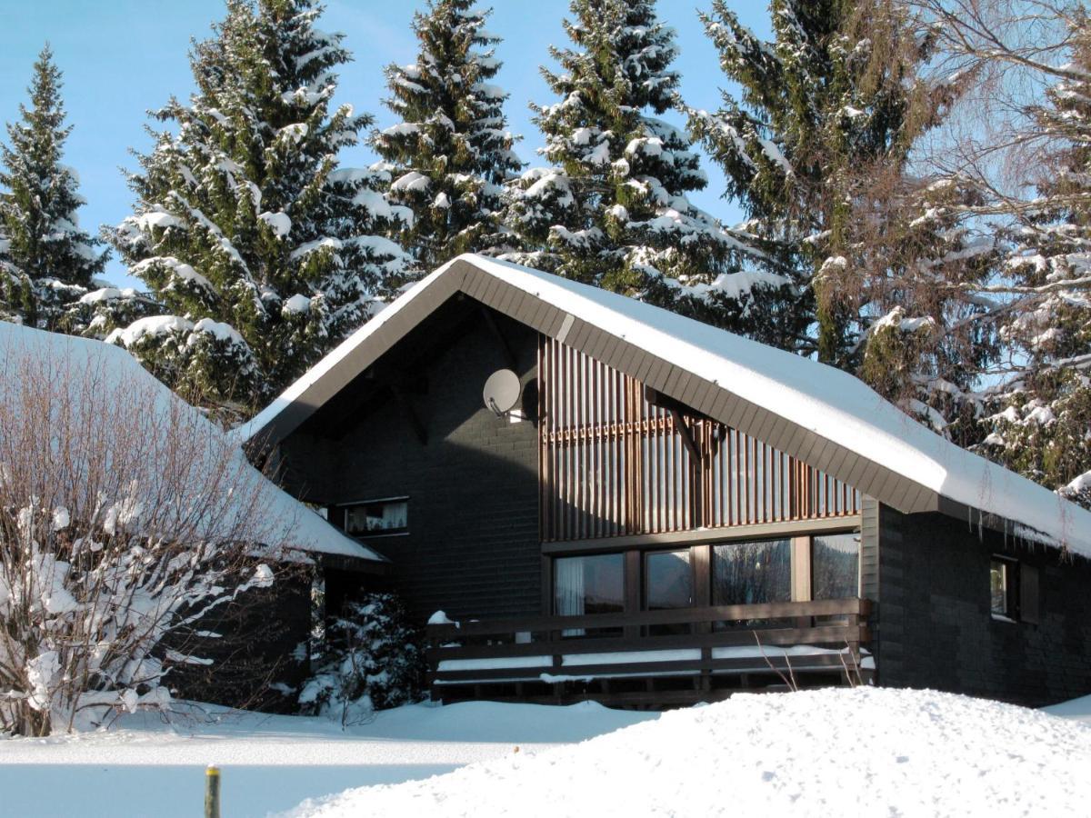 Holiday Home Rechbergblick - Beu302 By Interhome Бернау им Шварцвалд Екстериор снимка